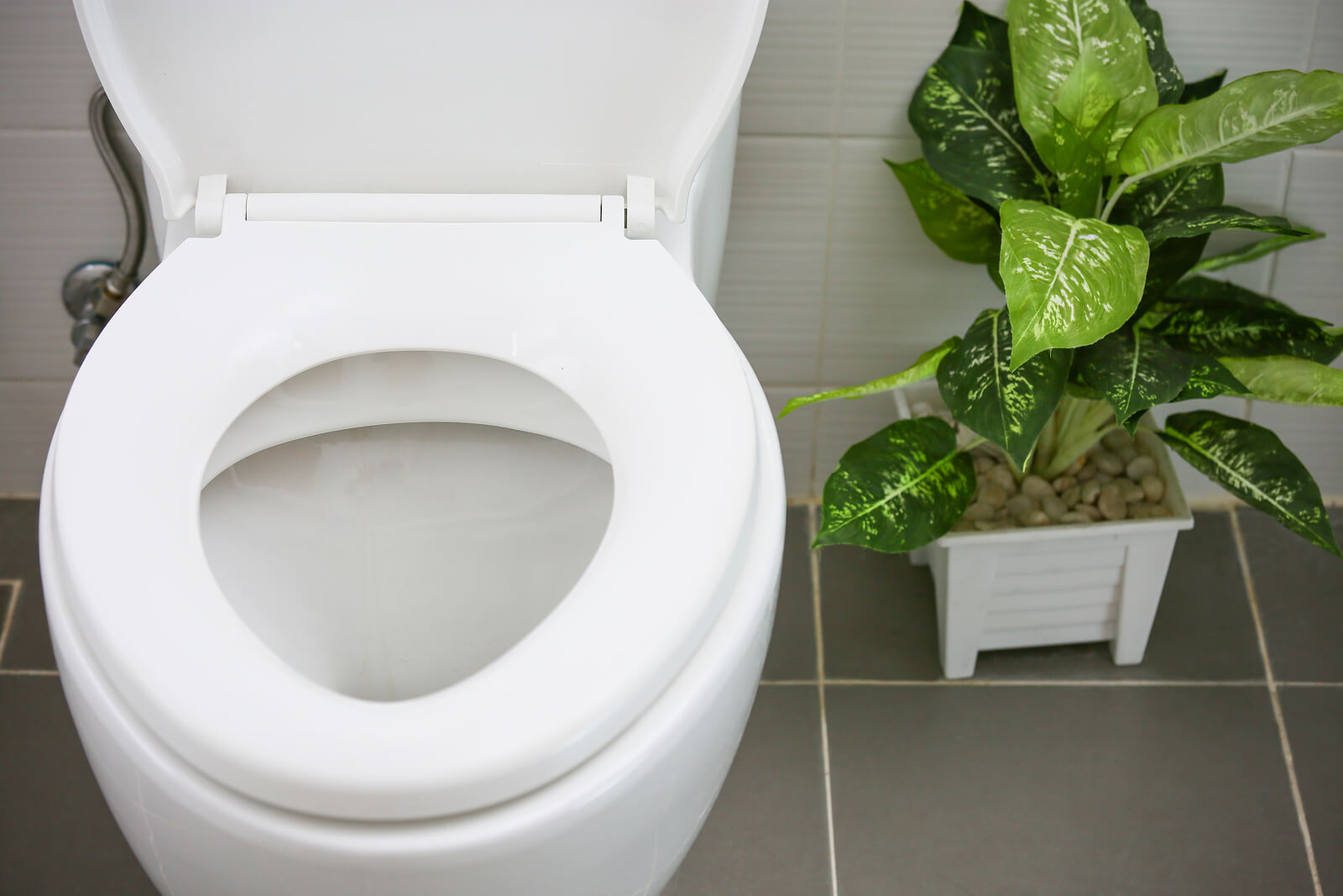 toilet replacement in Sacramento by America's Plumbing