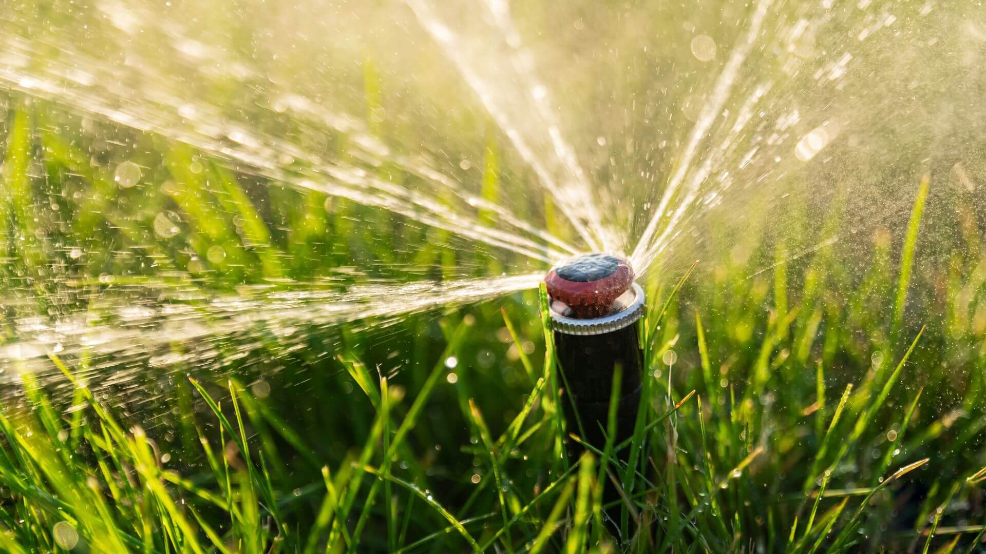 Install a sprinkler system this planting season with America's Plumbing.